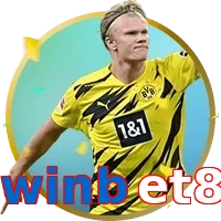 winbet8