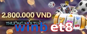 winbet8