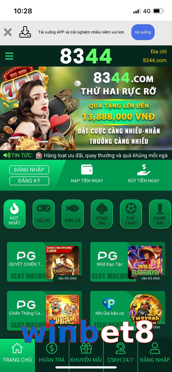 winbet8